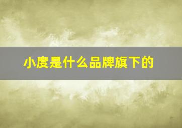 小度是什么品牌旗下的