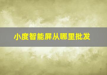 小度智能屏从哪里批发