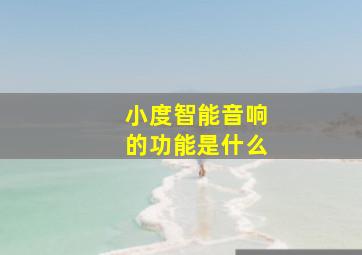 小度智能音响的功能是什么