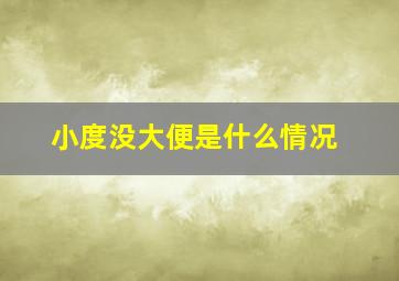 小度没大便是什么情况