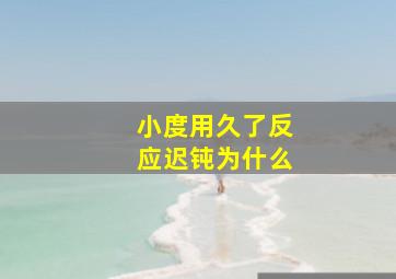 小度用久了反应迟钝为什么