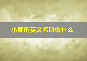 小度的英文名叫做什么