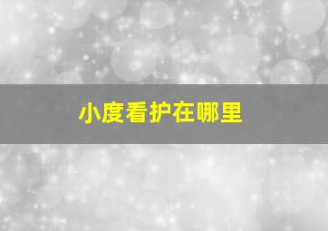 小度看护在哪里