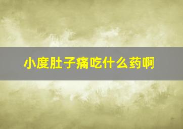 小度肚子痛吃什么药啊