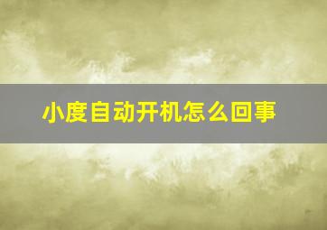 小度自动开机怎么回事