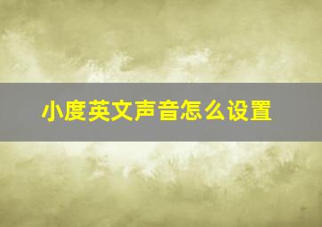 小度英文声音怎么设置