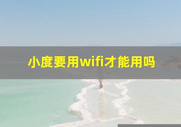 小度要用wifi才能用吗