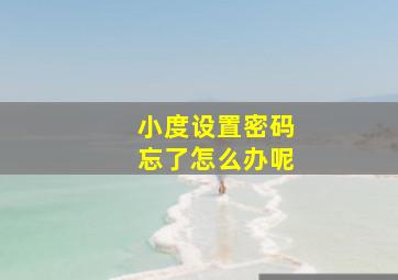 小度设置密码忘了怎么办呢