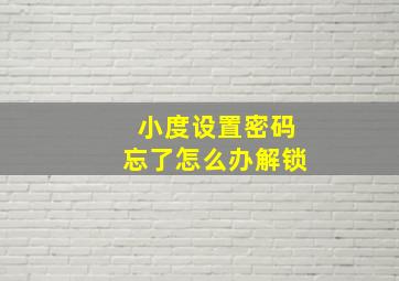 小度设置密码忘了怎么办解锁