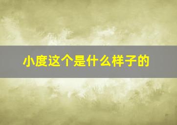 小度这个是什么样子的