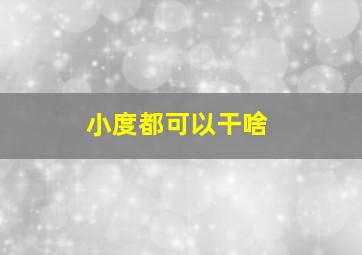 小度都可以干啥