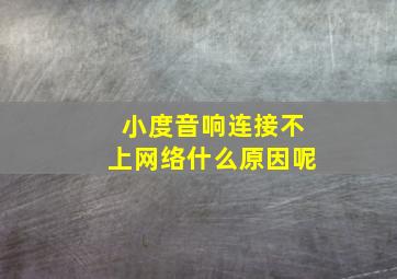 小度音响连接不上网络什么原因呢