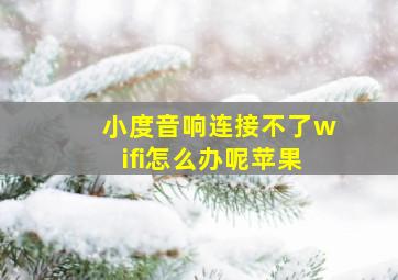 小度音响连接不了wifi怎么办呢苹果