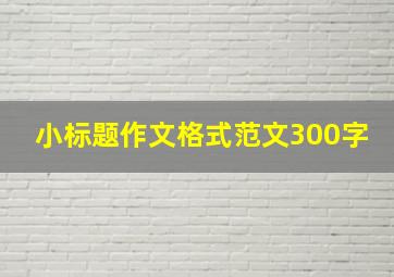 小标题作文格式范文300字