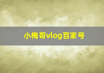 小梅哥vlog百家号