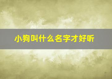 小狗叫什么名字才好听