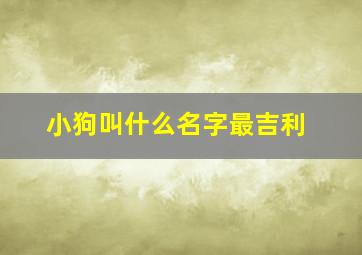 小狗叫什么名字最吉利