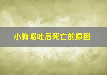 小狗呕吐后死亡的原因