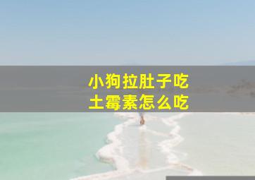 小狗拉肚子吃土霉素怎么吃