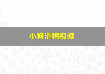 小狗滑稽视频