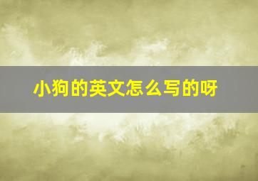 小狗的英文怎么写的呀