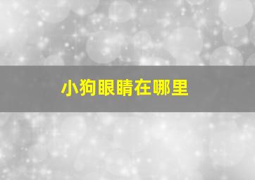 小狗眼睛在哪里