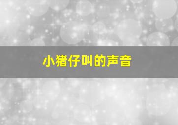 小猪仔叫的声音