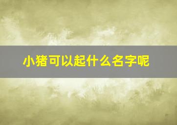 小猪可以起什么名字呢