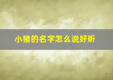 小猪的名字怎么说好听