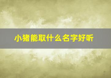 小猪能取什么名字好听