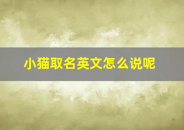 小猫取名英文怎么说呢