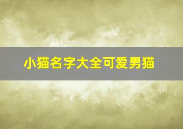 小猫名字大全可爱男猫