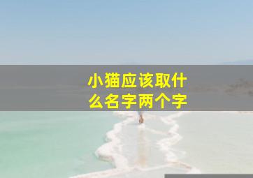 小猫应该取什么名字两个字