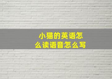 小猫的英语怎么读语音怎么写