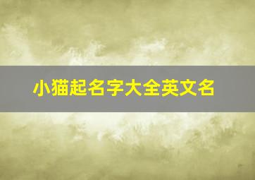 小猫起名字大全英文名