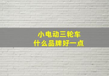 小电动三轮车什么品牌好一点