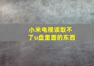 小米电视读取不了u盘里面的东西