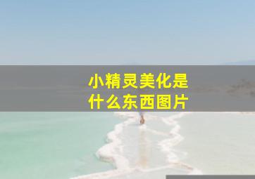 小精灵美化是什么东西图片