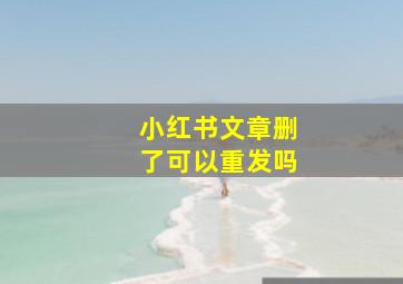 小红书文章删了可以重发吗