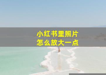 小红书里照片怎么放大一点