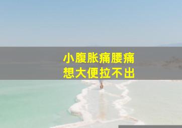 小腹胀痛腰痛想大便拉不出