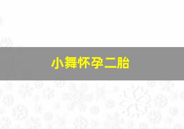 小舞怀孕二胎