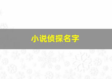 小说侦探名字