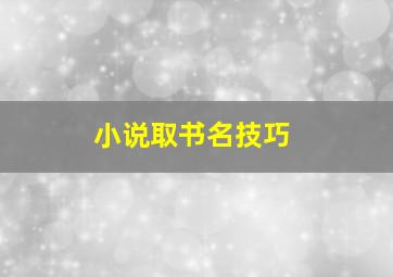 小说取书名技巧