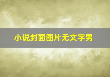 小说封面图片无文字男