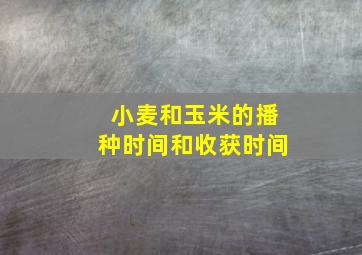 小麦和玉米的播种时间和收获时间