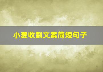 小麦收割文案简短句子