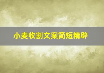 小麦收割文案简短精辟