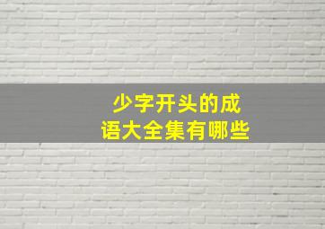 少字开头的成语大全集有哪些