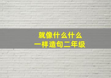 就像什么什么一样造句二年级